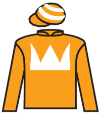Antonucci silks