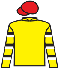 Cambridge Bay silks