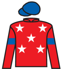 Classique Gal silks