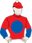 Flying Capital silks