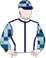 High On The Hill silks
