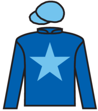Red Hot Lizzie silks