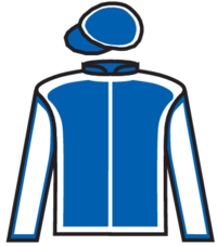 Steffi Electrica silks