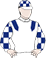 ZOUSAIN GIRL silks